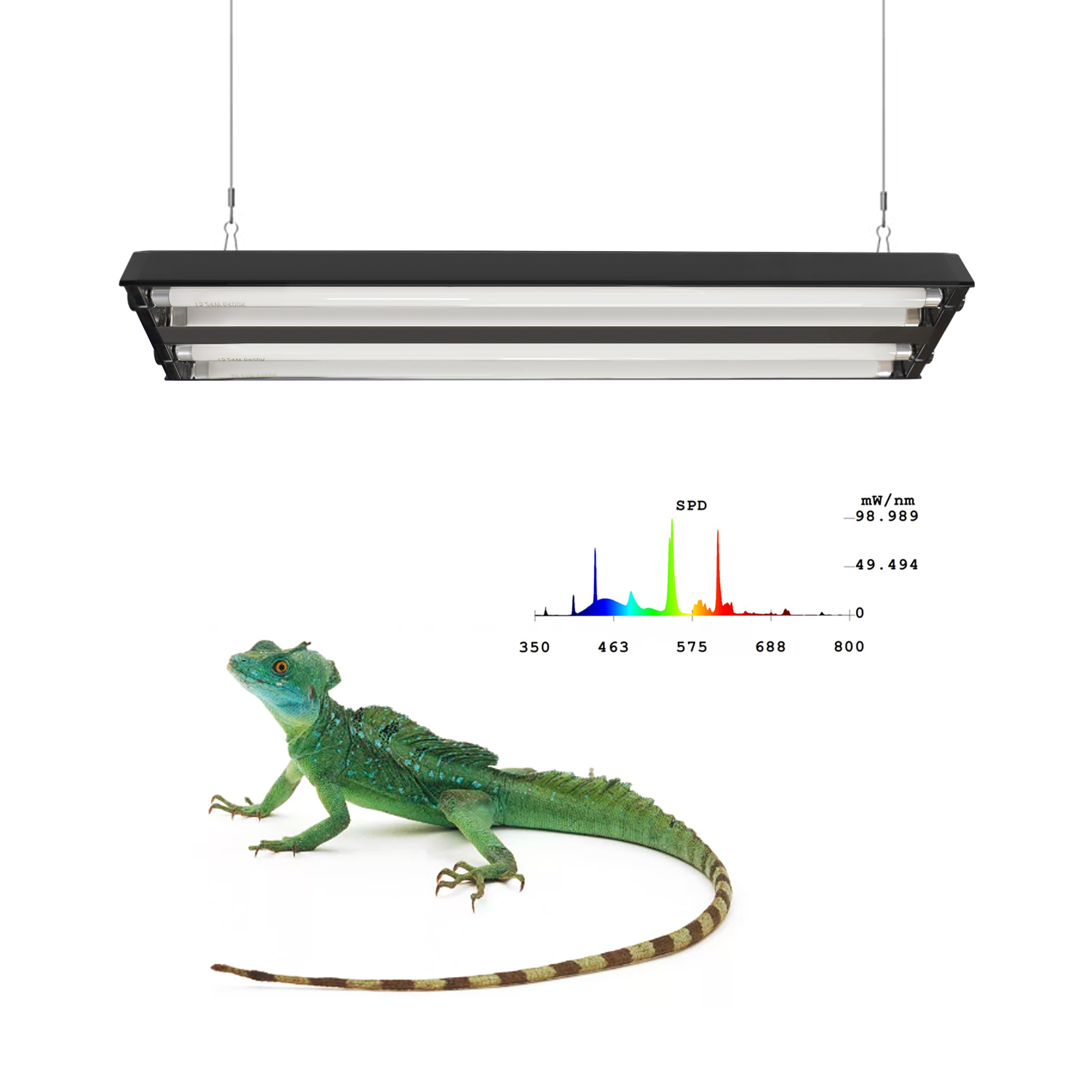 2 Bars Reptile Dual T5 Lamp holder Reptile Glass Terrarium Fluorescent Reptile Light Fixture