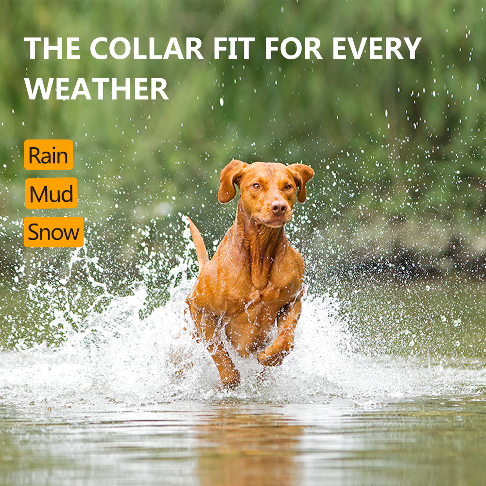Rechargeable No Static Shock Anti Barking Dog Collar 2020 Anti-Bark Collar Device For Dog