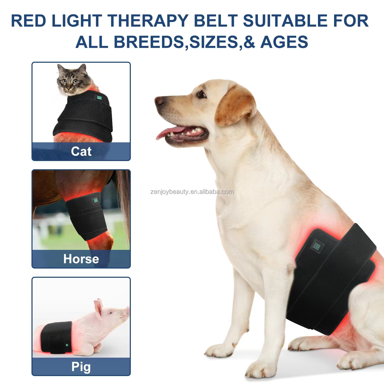 2024 Built-in Battery Wireless 660nm 850nm LED Red Light Infrared Light Pet Therapy Mat Horse Leg Red Light Therapy Pad