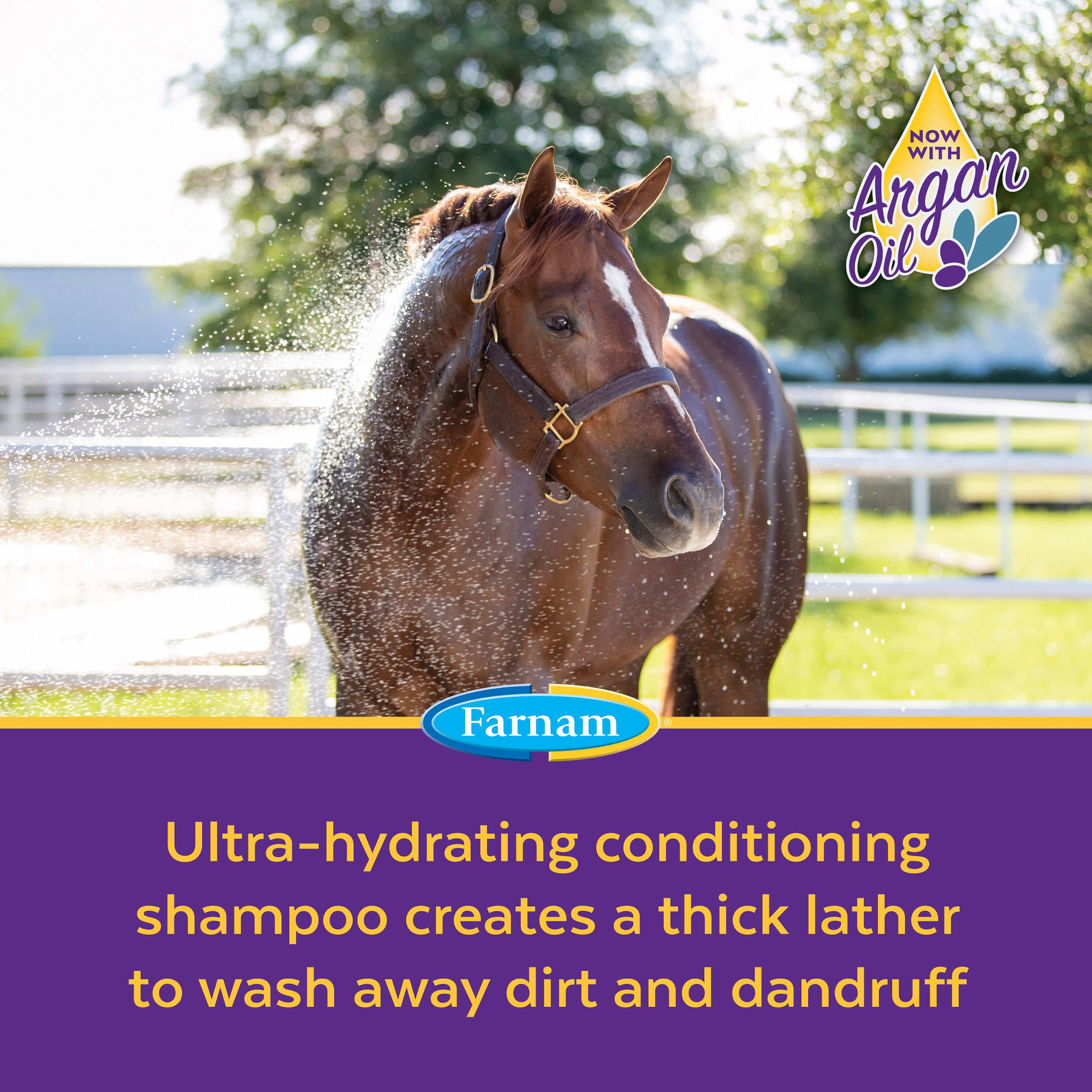 Farnam Vetrolin Bath Ultra-Hydrating Shampoo for Horses and Dogs, 32 fl. oz.