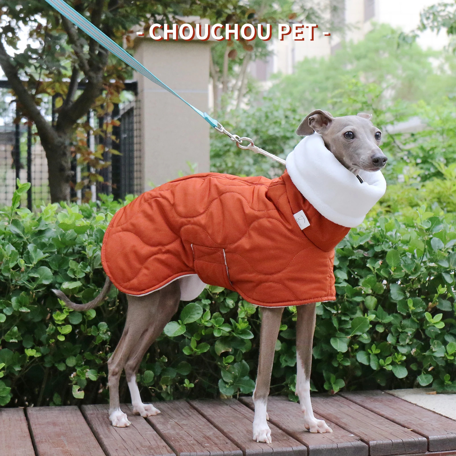 Winter Dog Outer orange Quilted Turtle Collar Dog Coat Warm Italian Greyhound Adjustable Cotton Whippet 241125