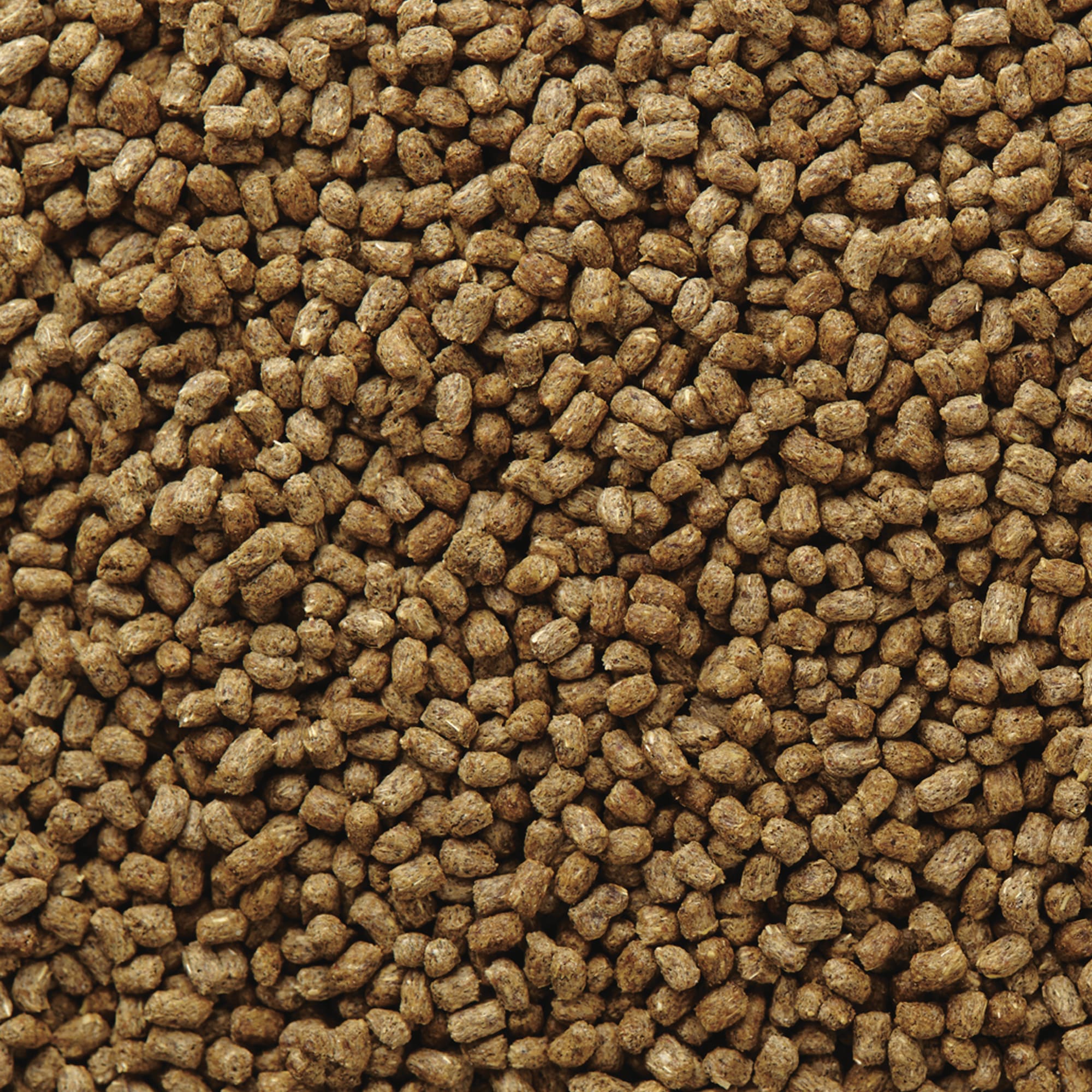 Mazuri Bearded Dragon Diet, 8 oz.