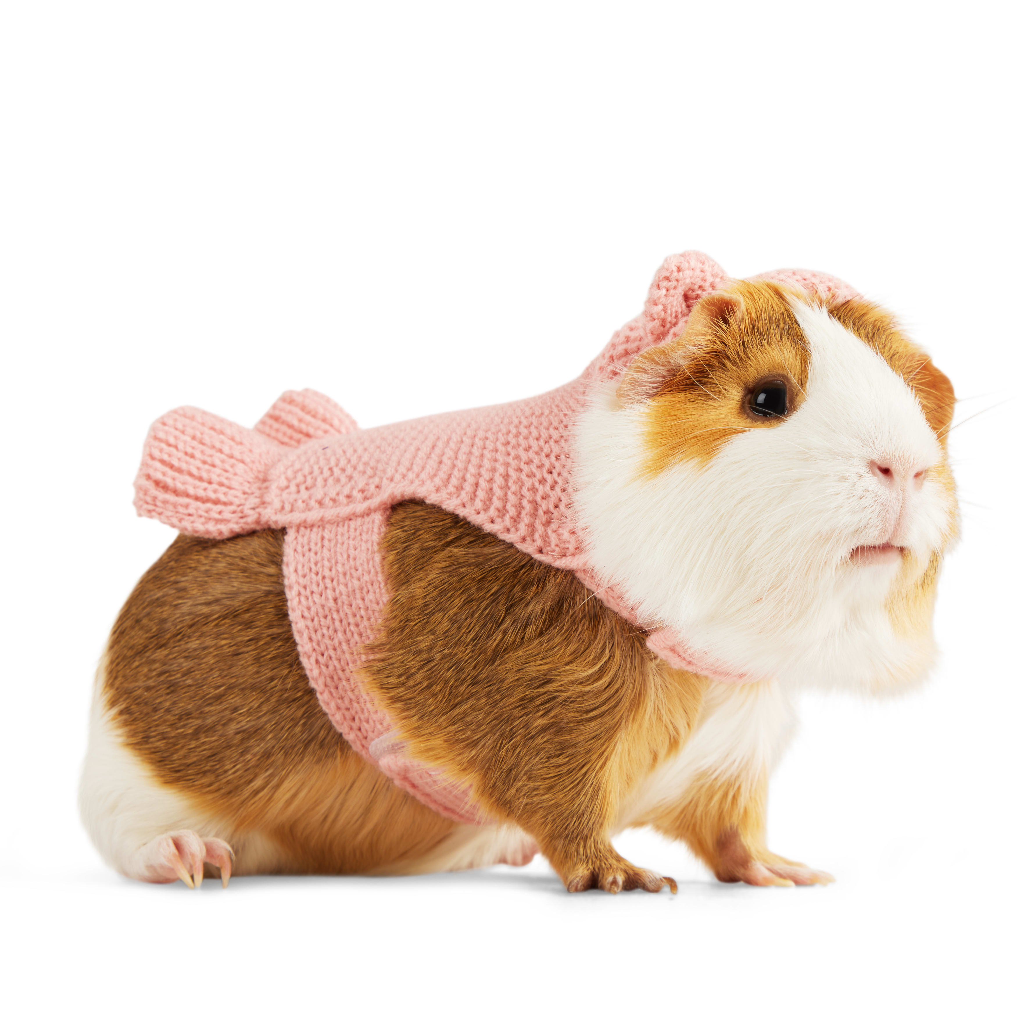 YOULY Blush Teddy Small Animal Dog Hoodie, Pink