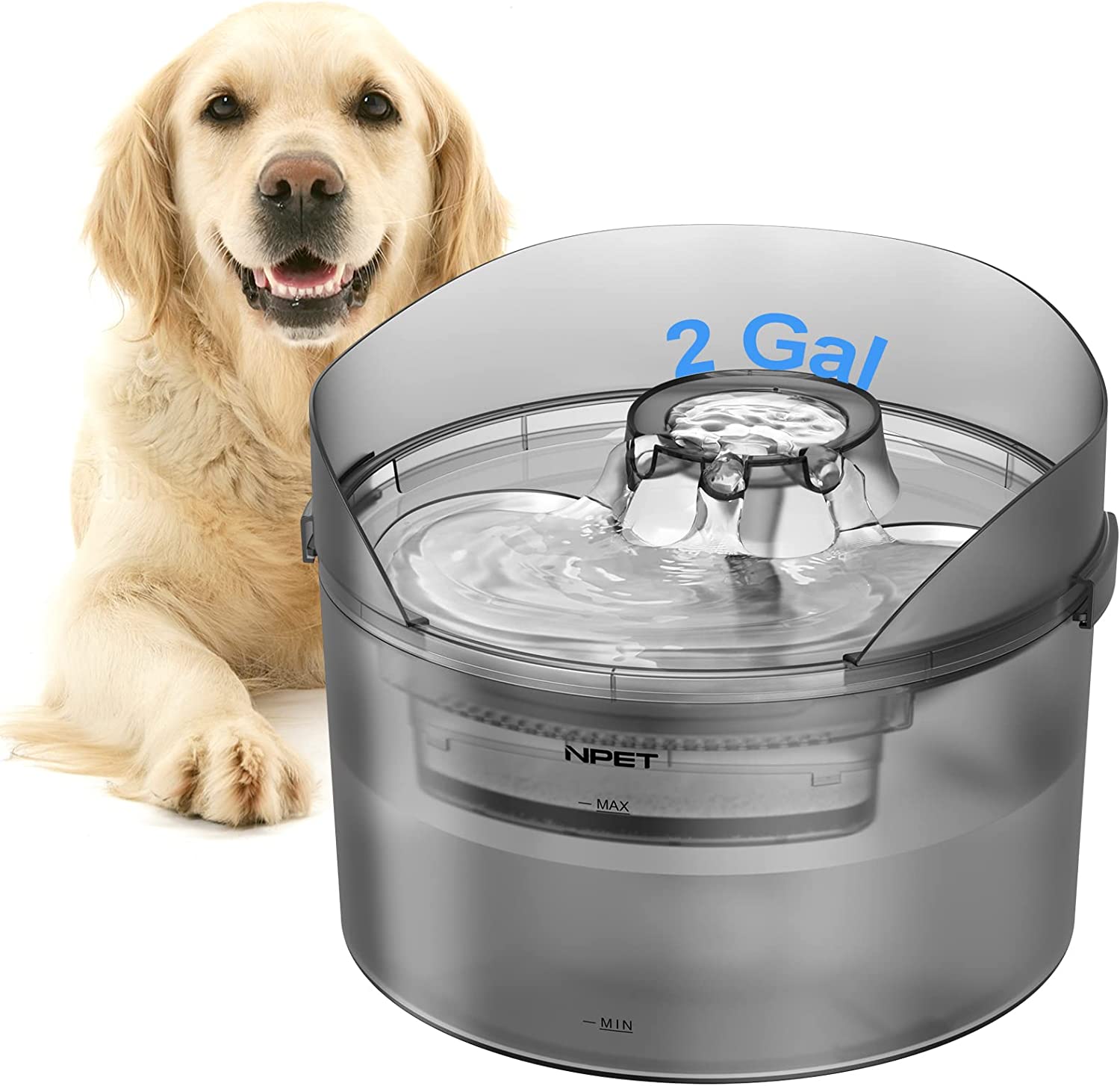 NPET Large Capacity 8L Pet Water Fountain for Dog Automatic Water Feeder with Splash Guard