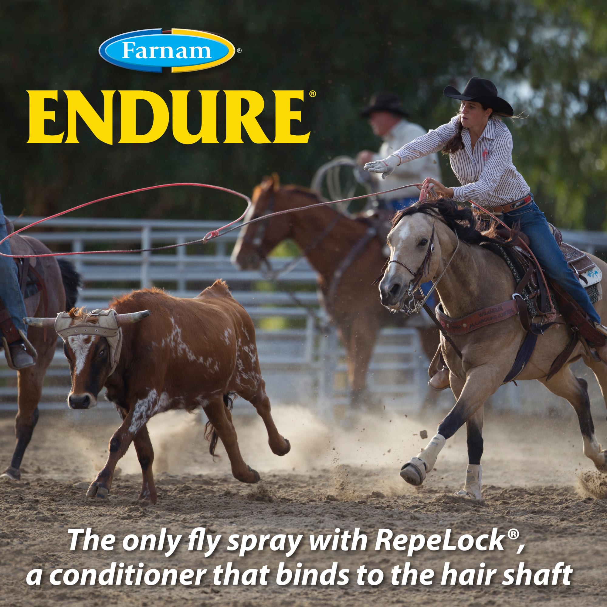 Farnam Endure Sweat-Resistant Fly Spray for Horses, 32 fl. oz.