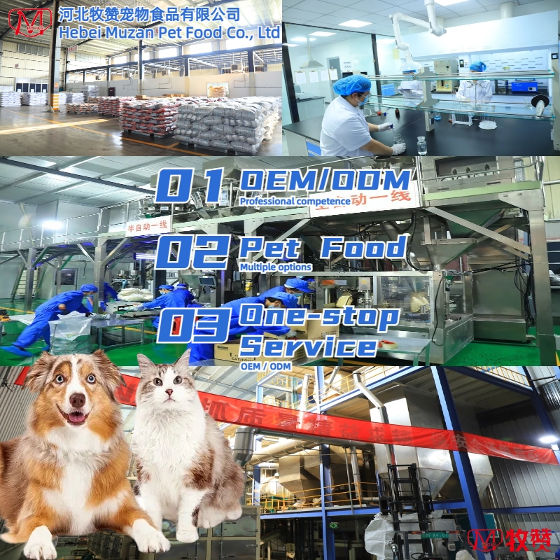 OEM Cat Food Factory Exports 10KG Natural Raw Fish Flavors Fish Shapes All Age Cat Food