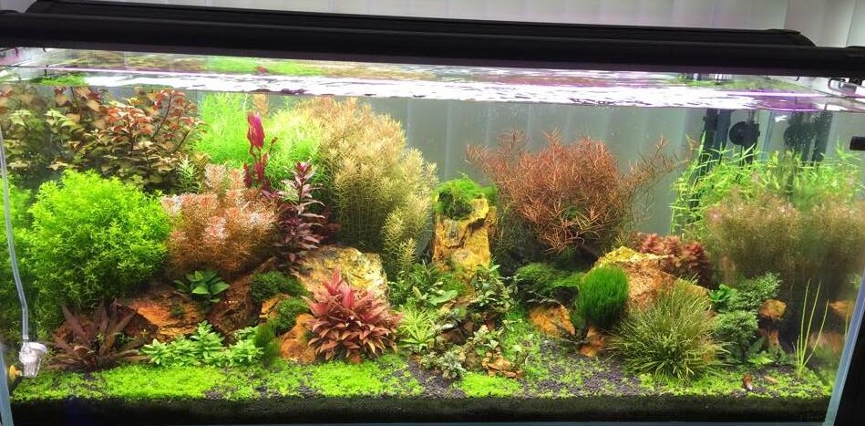 Source factory top quality bio substrate for aquariums shrimp