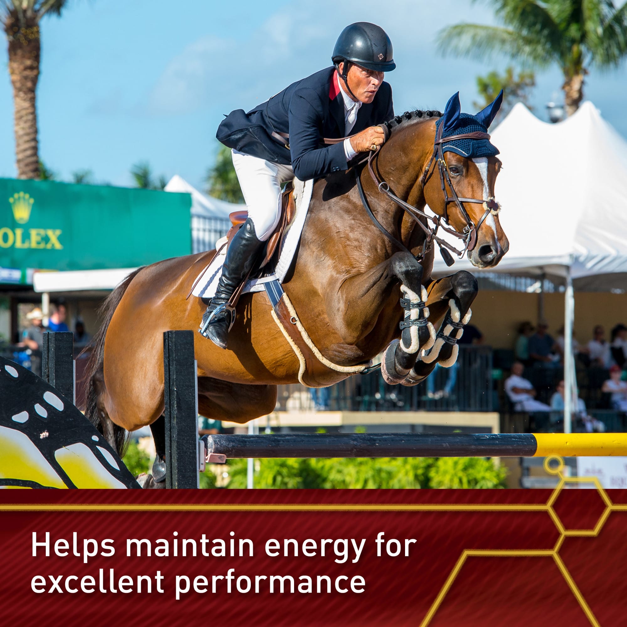 Vita Flex Lactanase Performance Supplement for Horses, 25 Gram, Count of 12