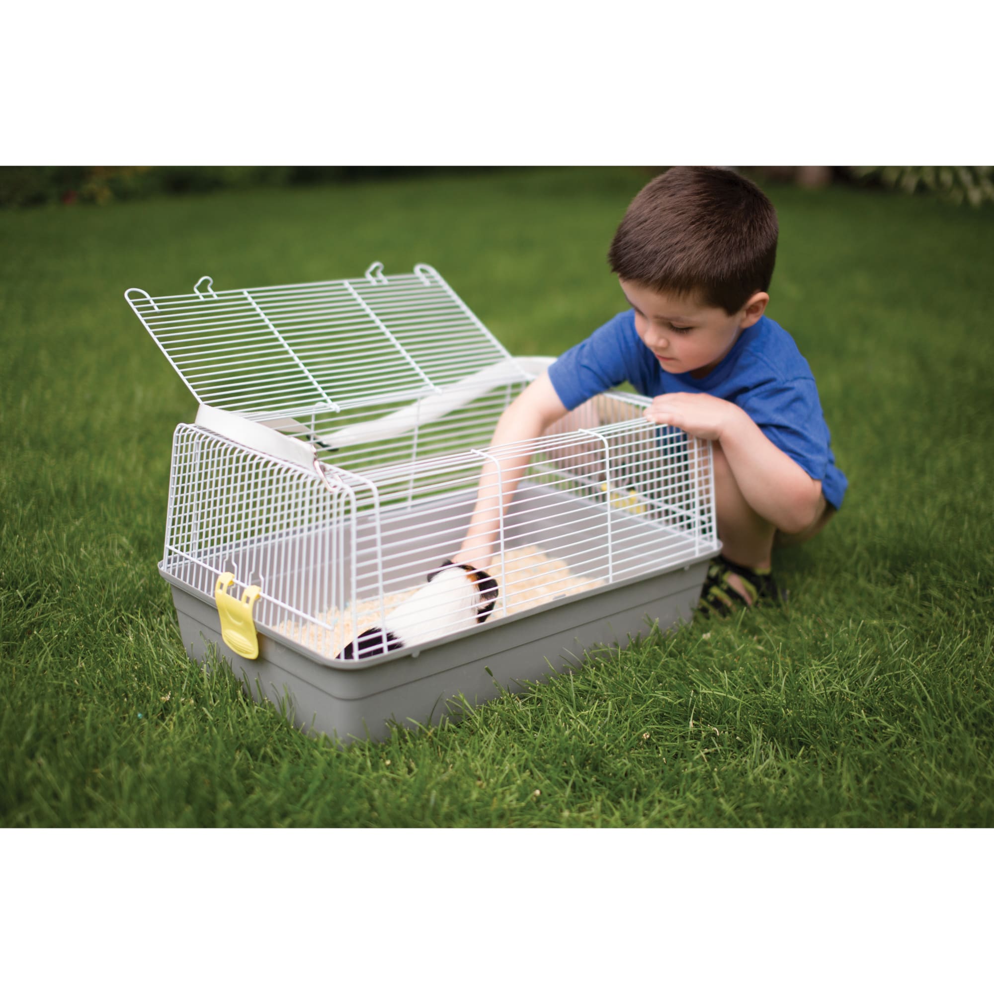 Prevue Pet Products Universal Travel Carrier for Birds or Small Animals, Medium