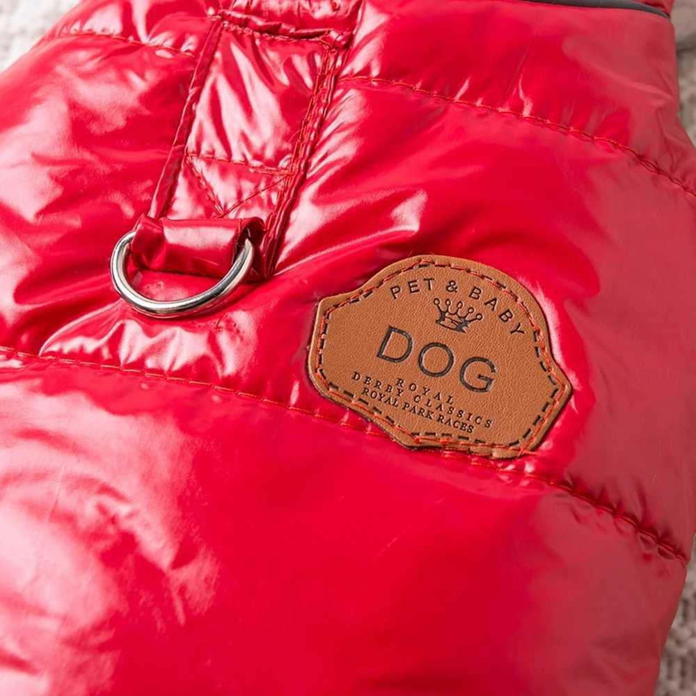 Winter Warm Dog Clothes Bright Color Jacket Waterproof Puppy Dog Coat for Small Medium Dog Chihuahua French Bulldog Pet ClothingXJ241125