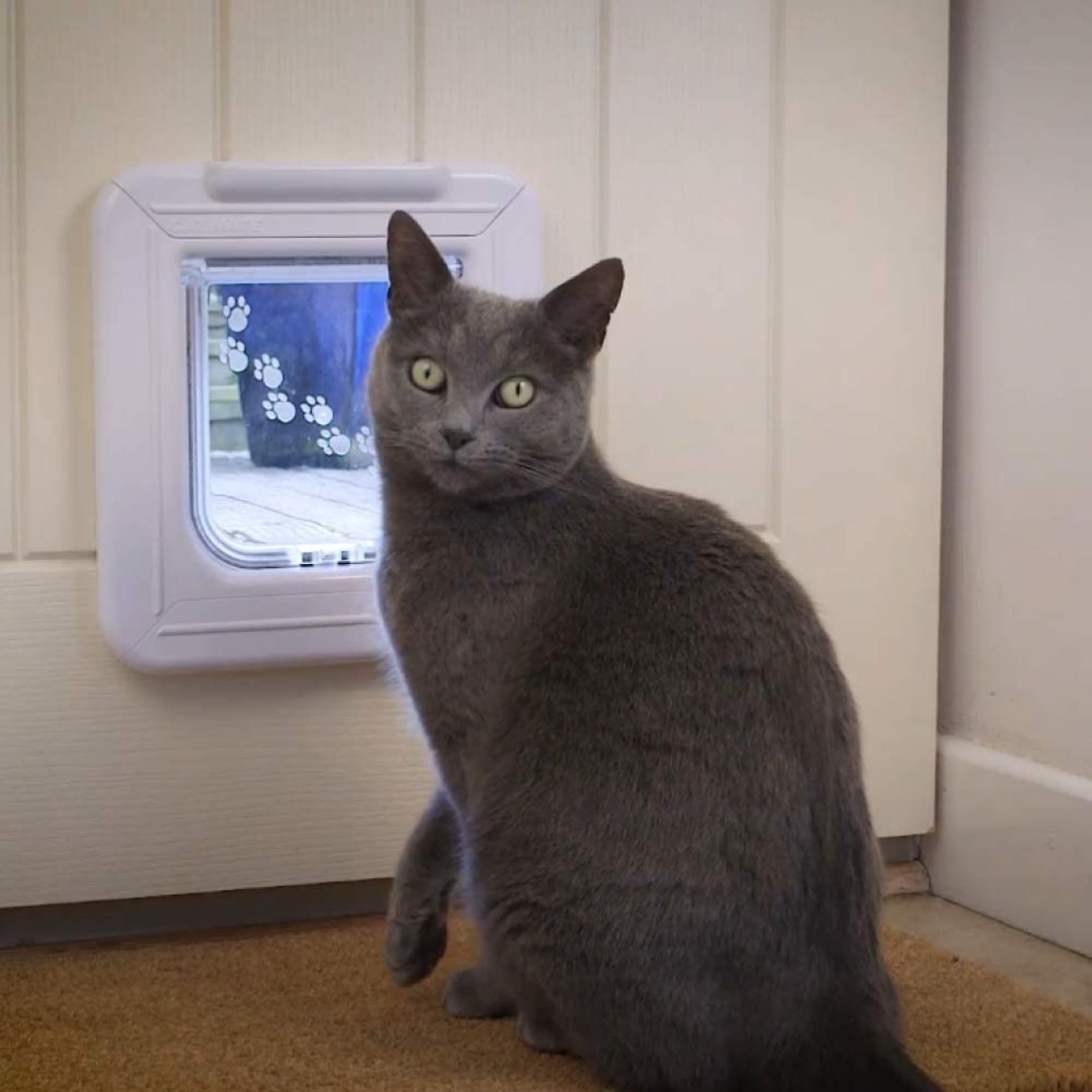 Cat Mate Elite ID Disc Cat Flap with Timer Control, 3.5" L X 9.75" W X 10.375" H