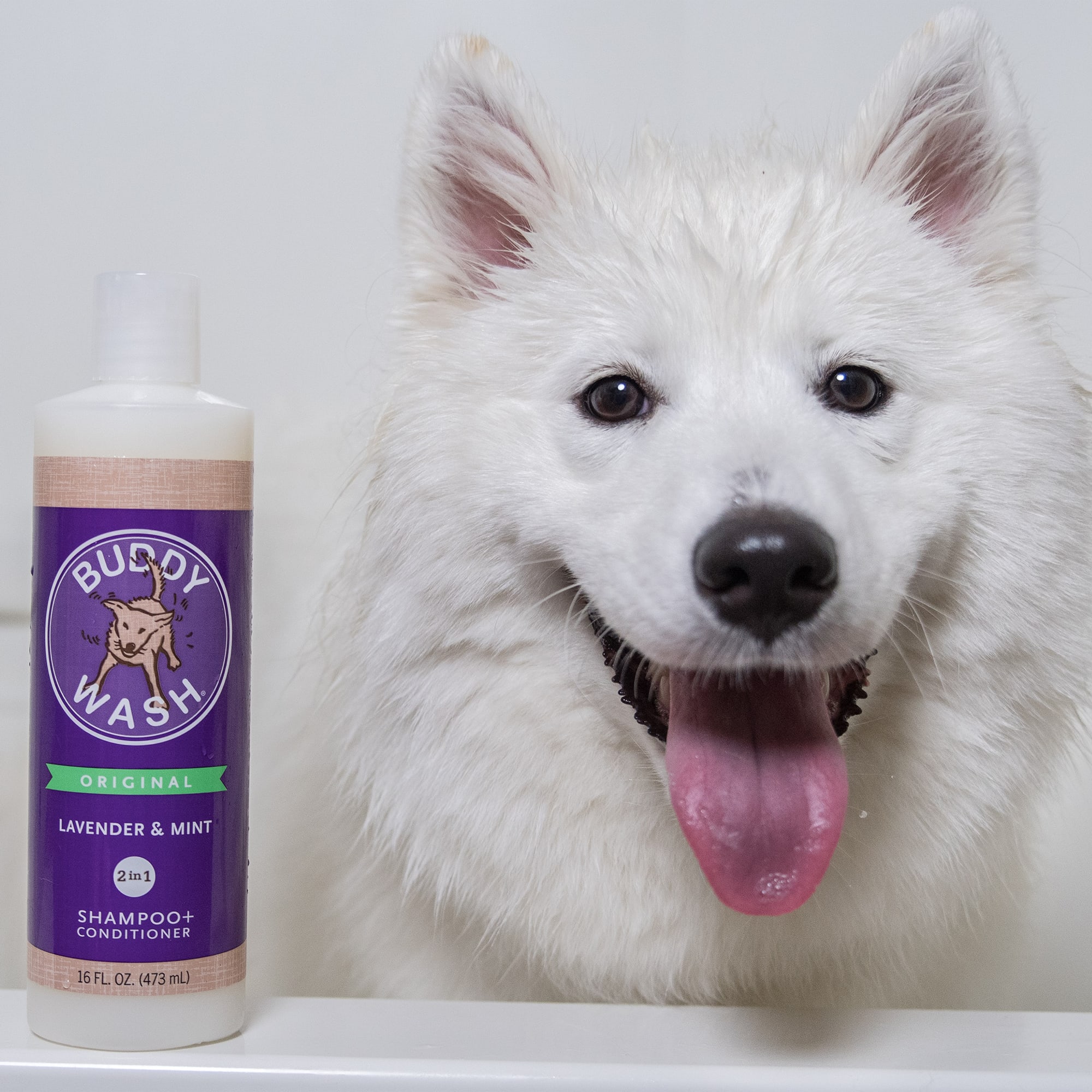 Cloud Star Buddy Wash Lavender & Mint 2 in 1 Dog Shampoo Plus Conditioner