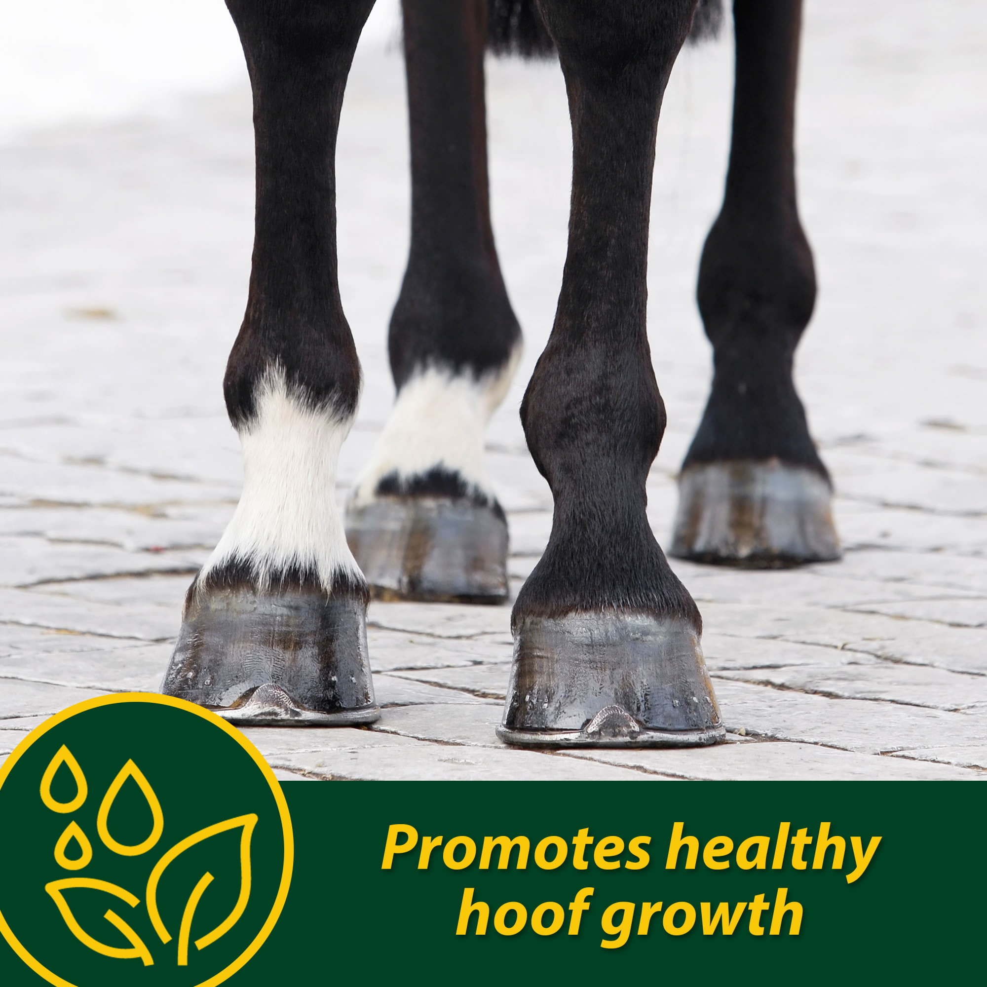 Farnam Horseshoer's Secret Pelleted Hoof 60 Day Supplement, 22 lbs.