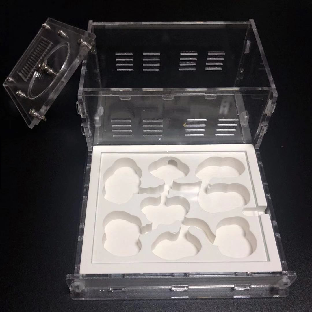 White ant formicarium ant farm
