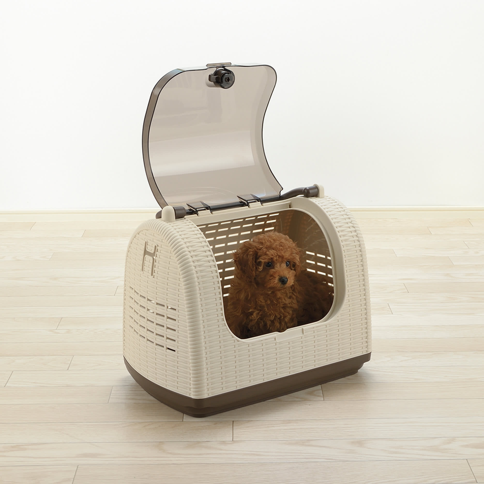 Richell Faux Wicker Pet Carrier, 16" L X 10.5" W X 13" H