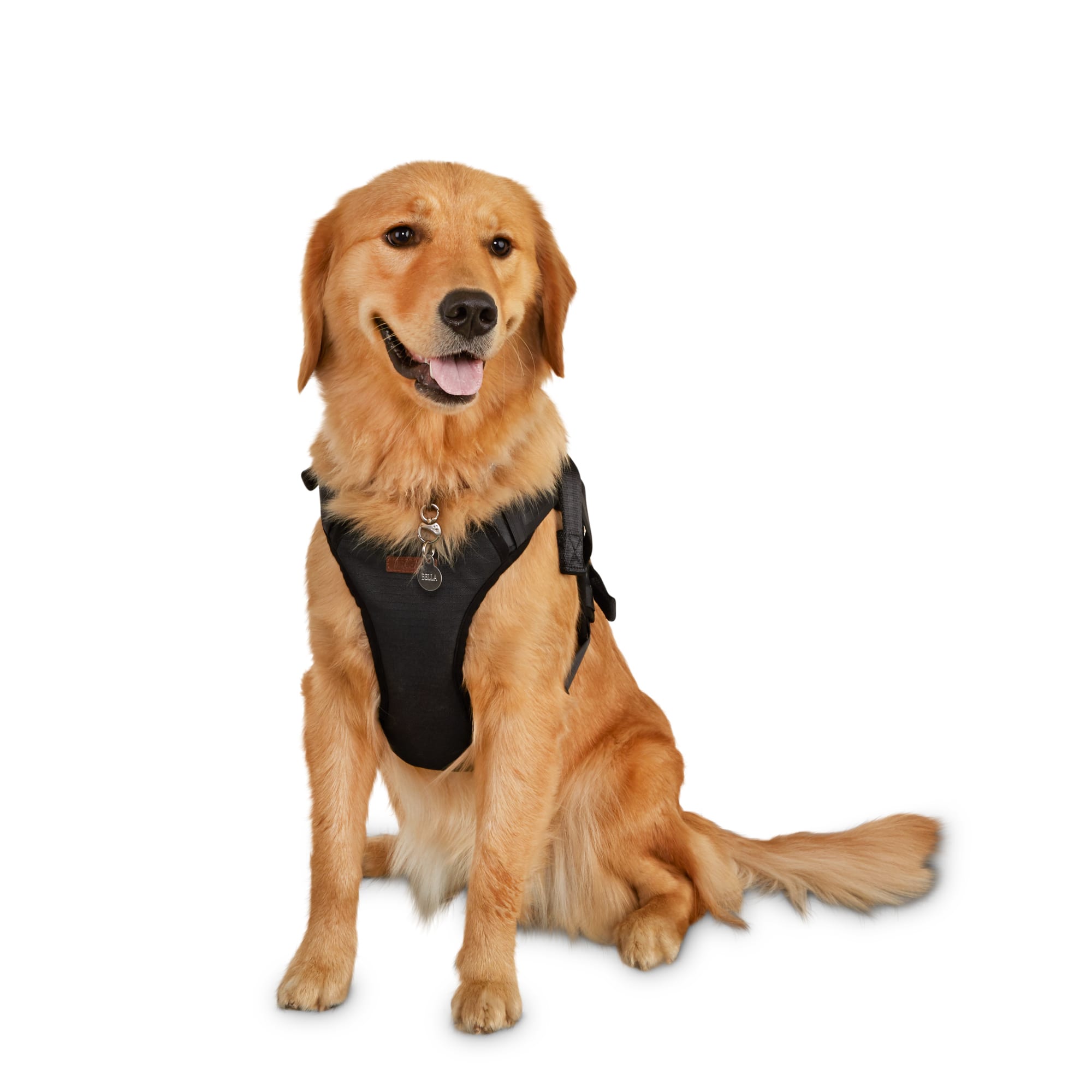 Reddy Road Trip Crash-Tested Dog Harness, Large