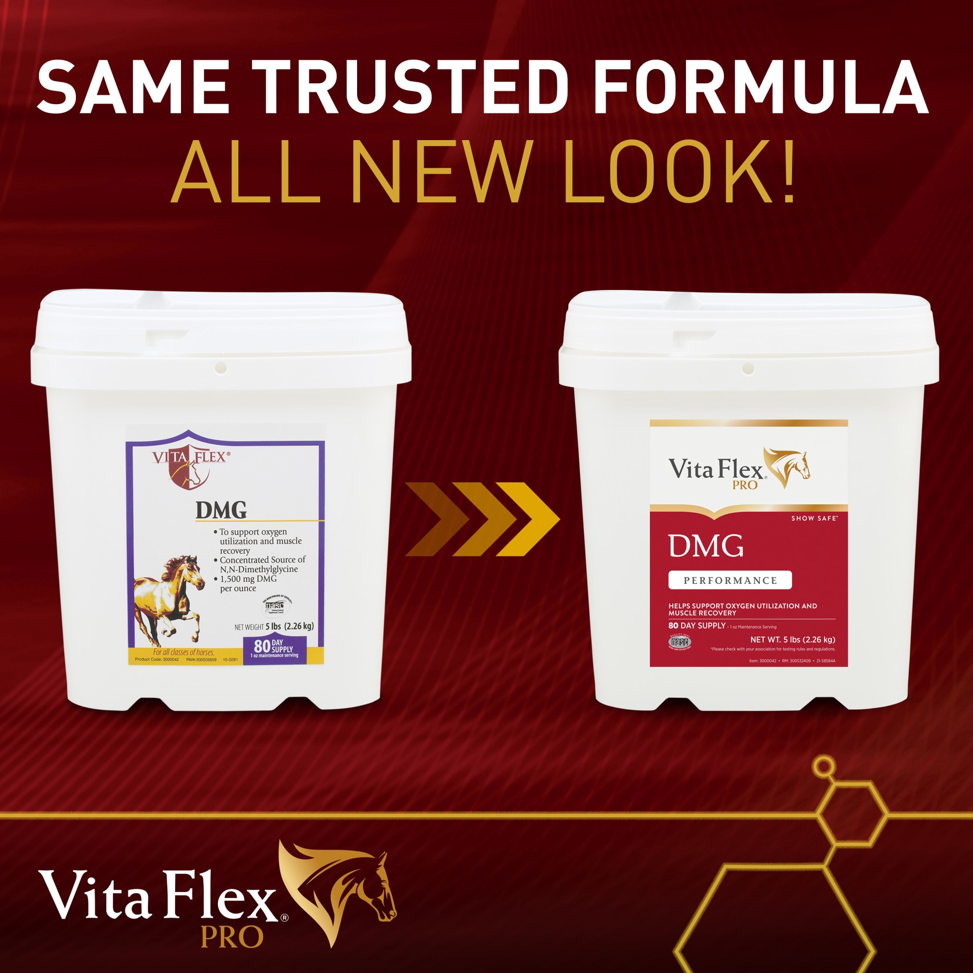 Vita Flex DMG 1500 80 Day Supply Horse Supplement, 5 lbs.