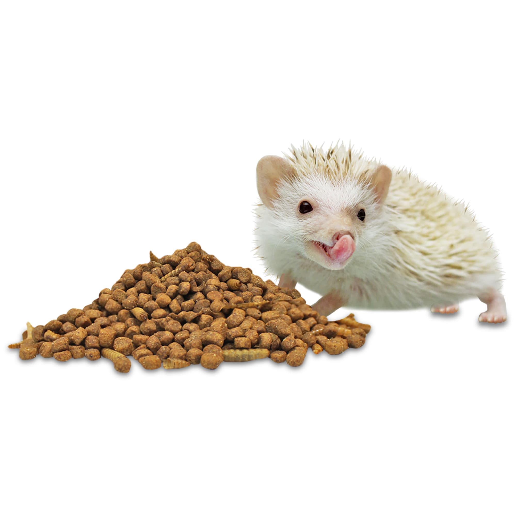 Exotic Nutrition ZooPro Hedgehog Essential Hedgehog Food, 1.75 lbs.