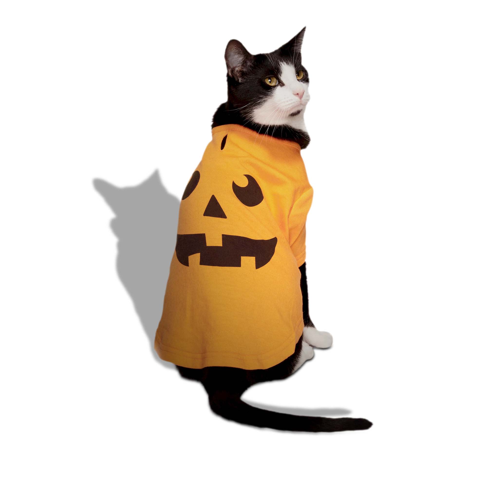 Bootique Pumpkin T-Shirt for Dogs & Cats, Medium
