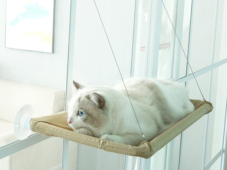 New Fashion Safety Suction Waterproof PVC Mesh Mat Cat Window Swing Bed Hammock