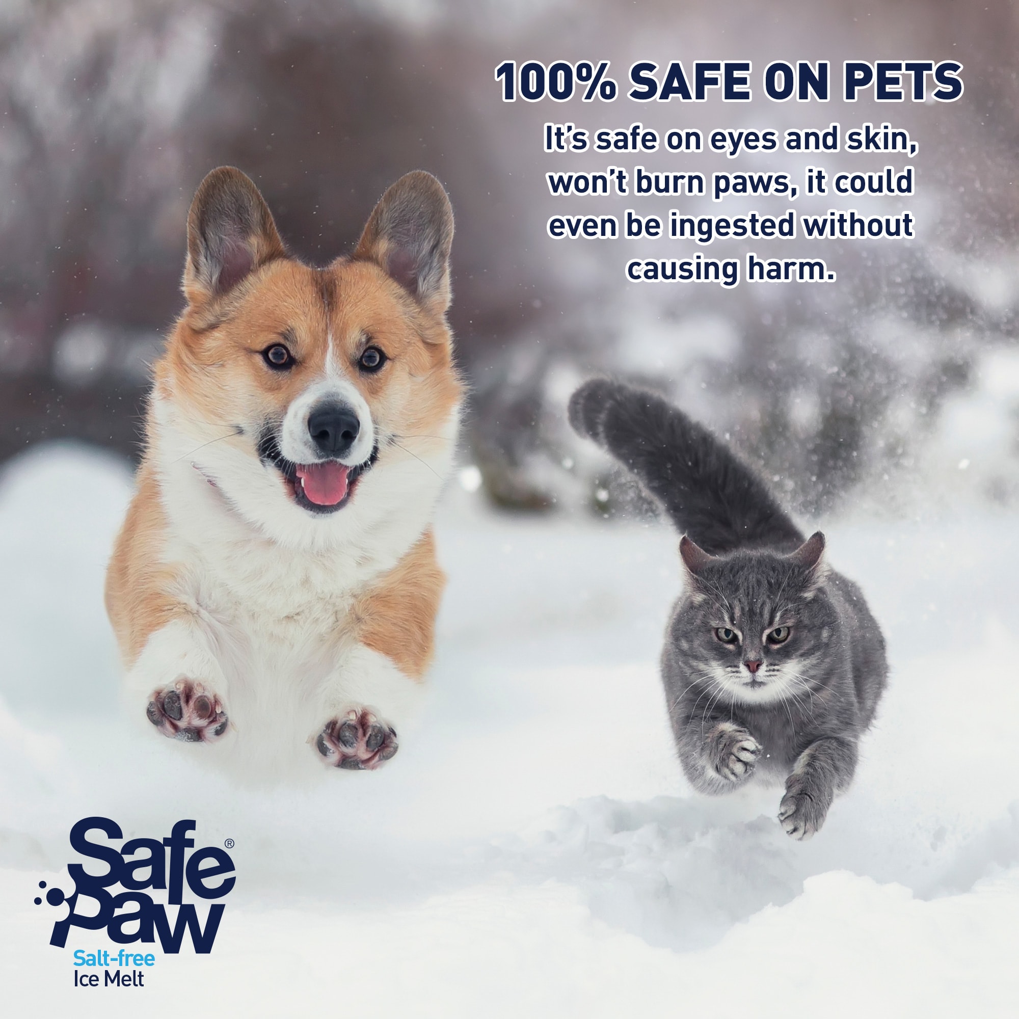 Safe Paw Salt Free Ice Melter for Dogs