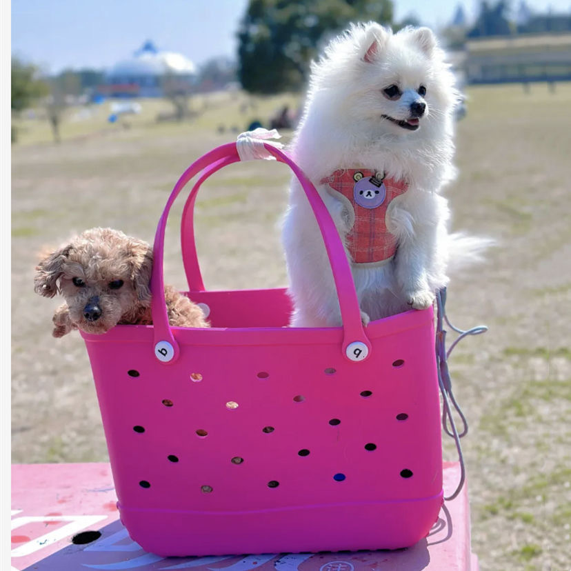 Eva Boggs Waterproof Oversized Beach Basket, Women's Designer Picnic Handbag Rubber Shopping Bag Vegetable Basket