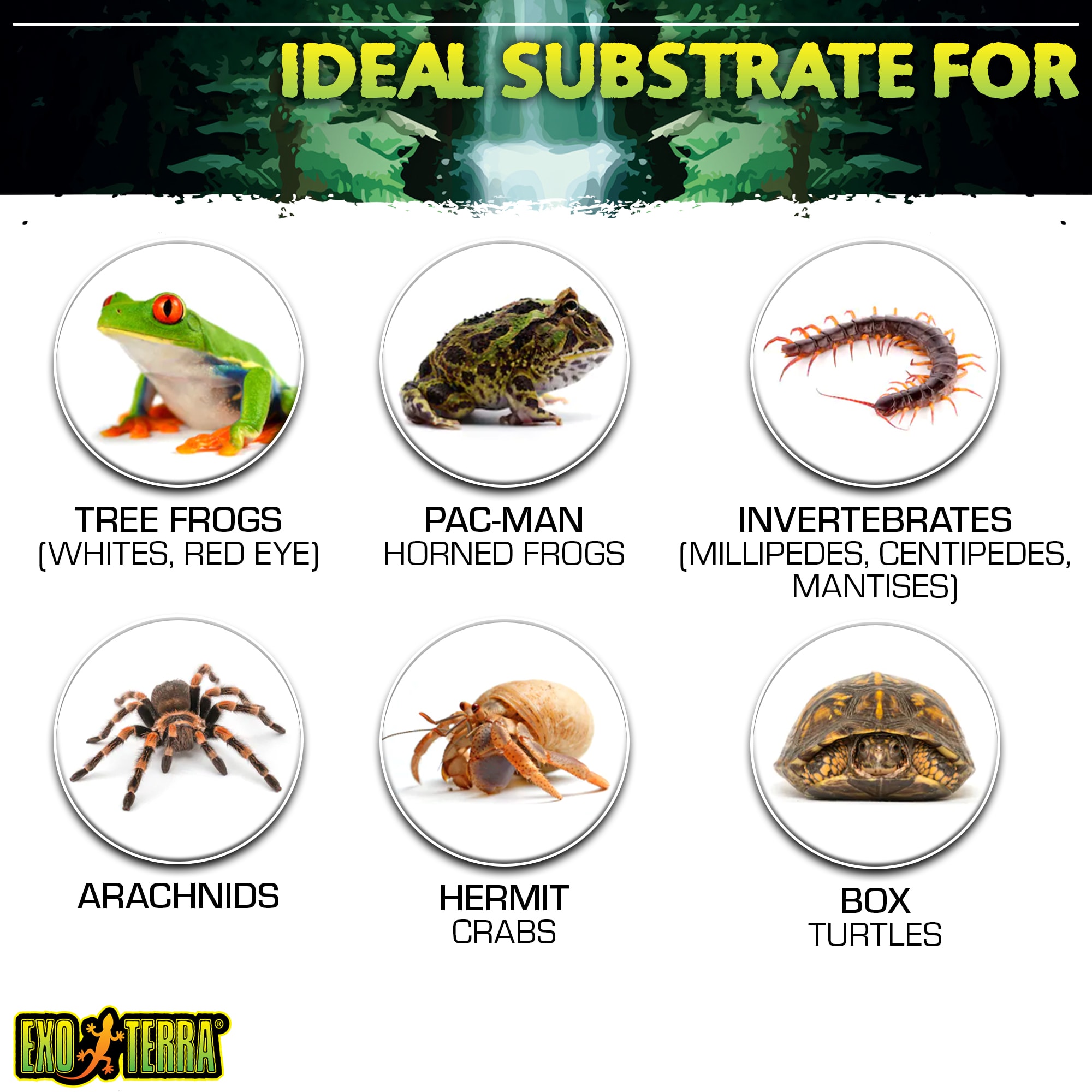 Exo-Terra Plantation Soil Terrarium Substrate Pack, 8 Quart, Pack of 3