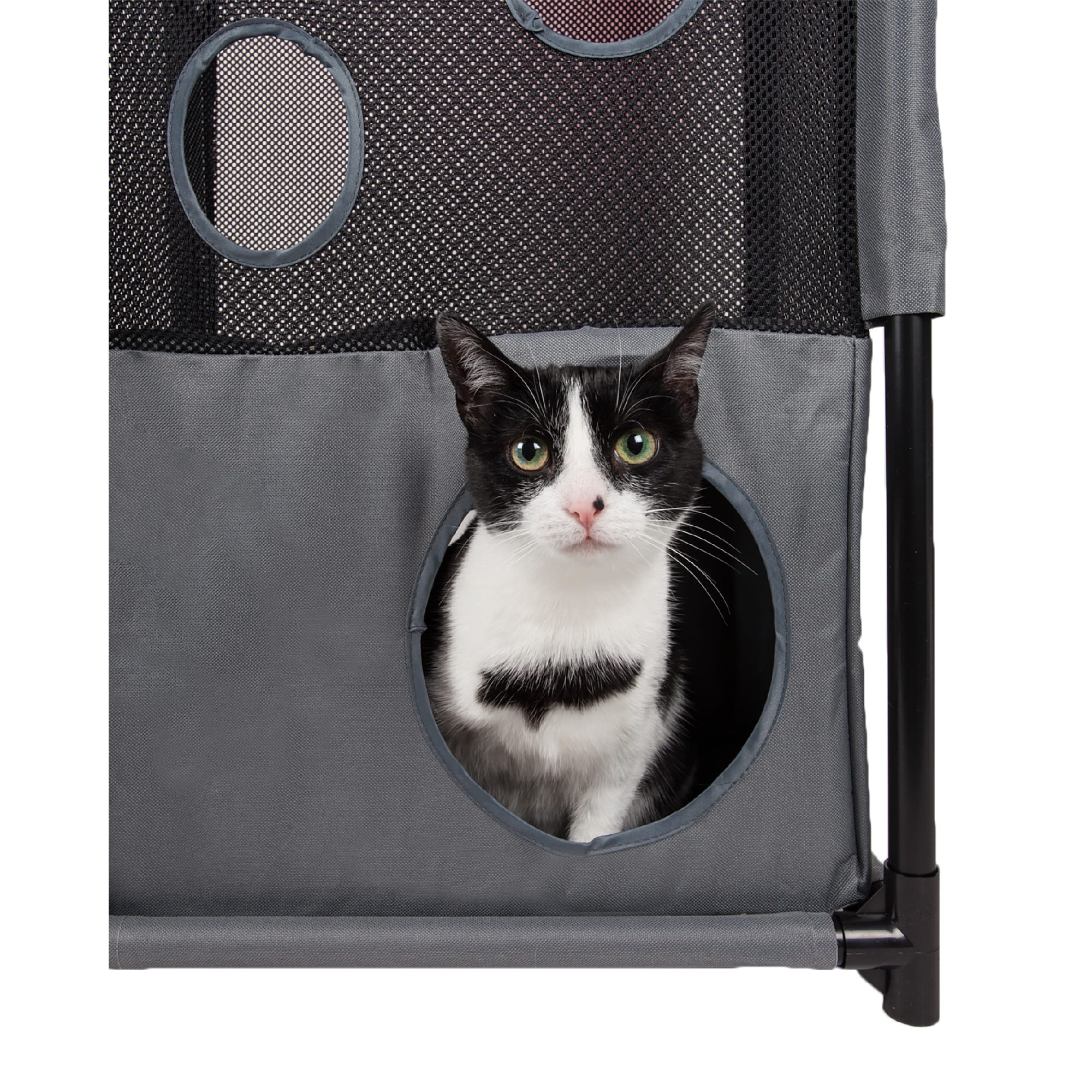 Pet Life Pink Square Obstacle Soft Folding Sturdy Play-Active Collapsible Travel Cat House, 17.71" L X 11.81" W X 35.43" H