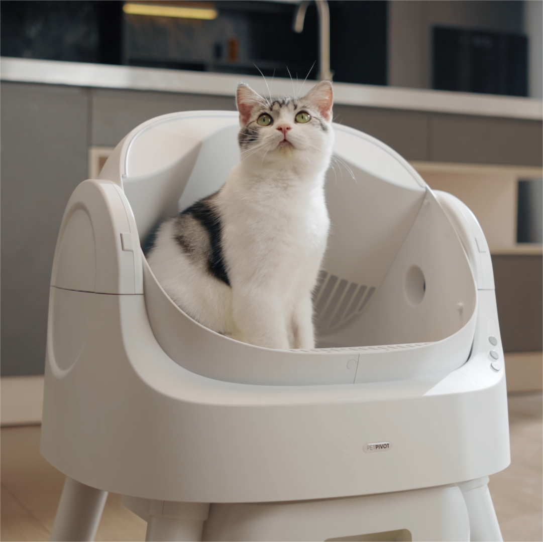PETPIVOT Automatic cat litter box self cleaning Suitable for bentonite mineral cat litter