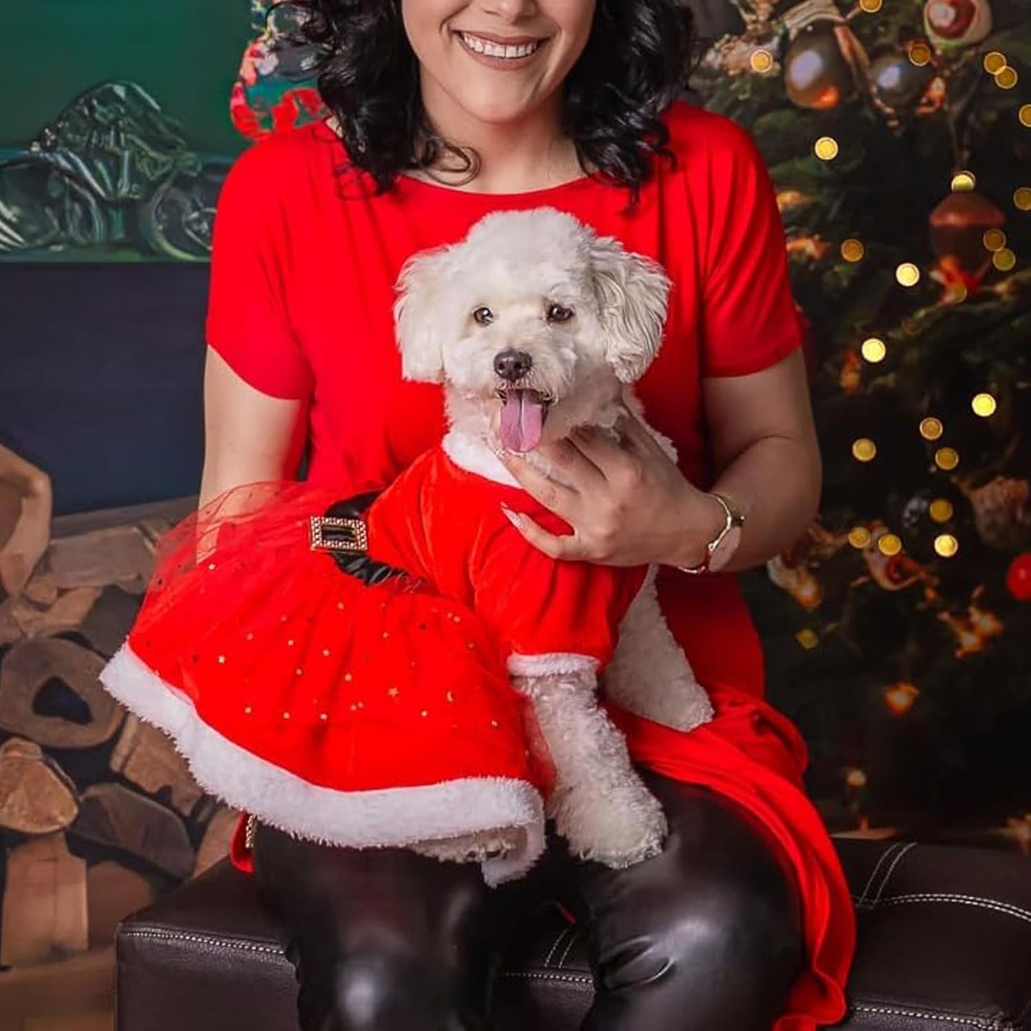 Christmas Dog Dress, Pet Christmas Costume Puppy Tulle Dress, Red Velvet Dog Skirt Santa Claus Outfit Xmas Clothing Winter Coat Cute Apparel