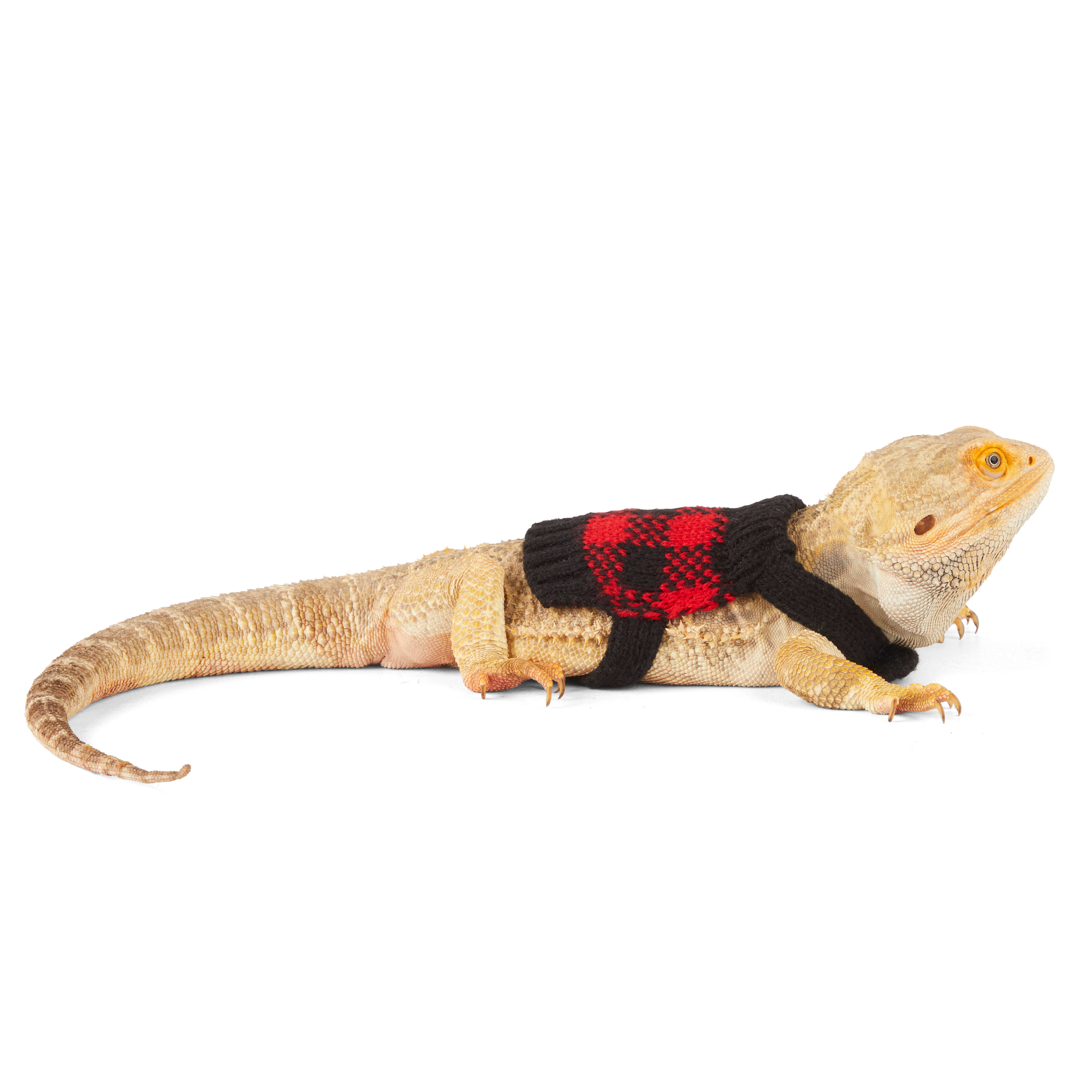Merry Makings Buffalo Check Sweater for Reptiles, Red