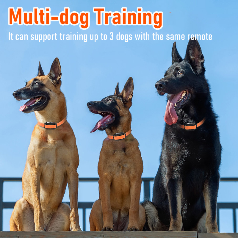 2024 New Pet Products Adjustable Dog Collar Electric Rechargeable Shock Private Label Dog Training Collar With Remote