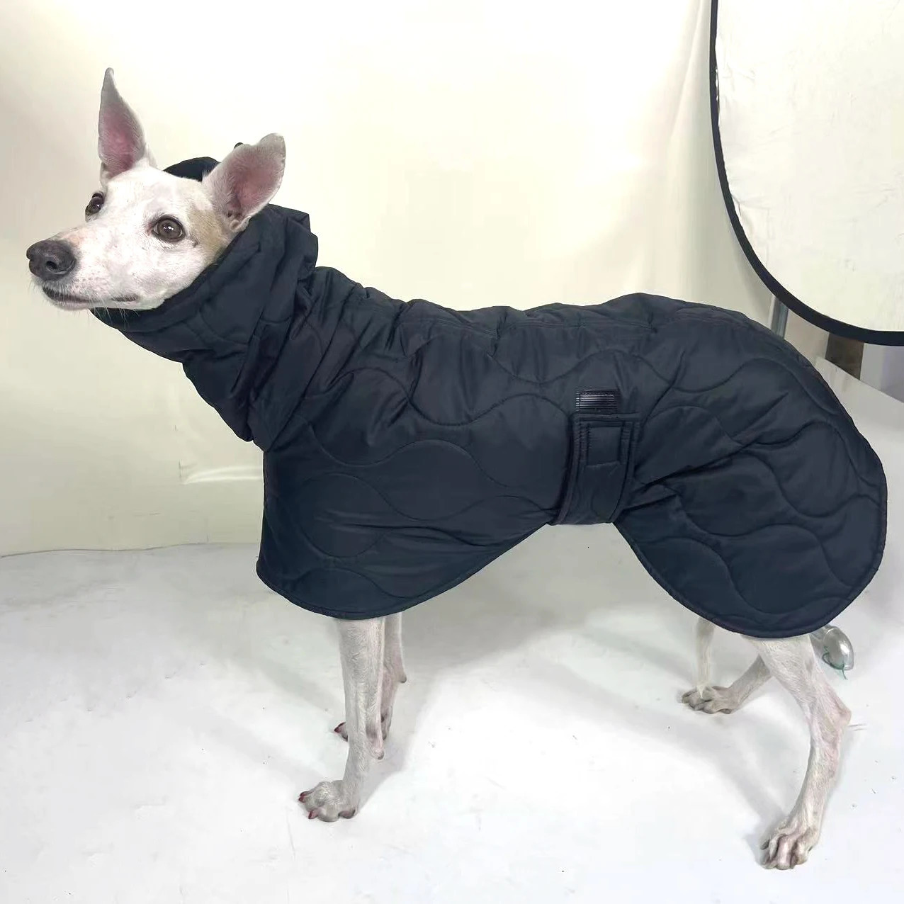 Winter Dog Outer Black Quilted Turtle Collar Dog Coat Warm Italian Greyhound Adjustable Cotton Whippet 241125