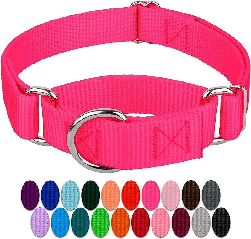 Wholesale China Pet Collars Adjustable Nylon Heavy Duty Martingale Dog Collar For Dogs walking jogging training