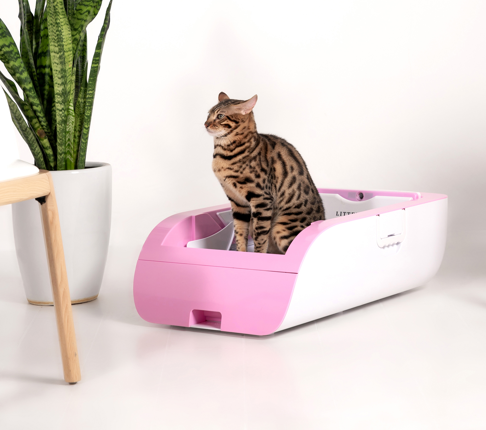 MA1-12Pro Wholesale cat litter toilet self cleaning cat litter box smart litter box for two cats with english instructionion