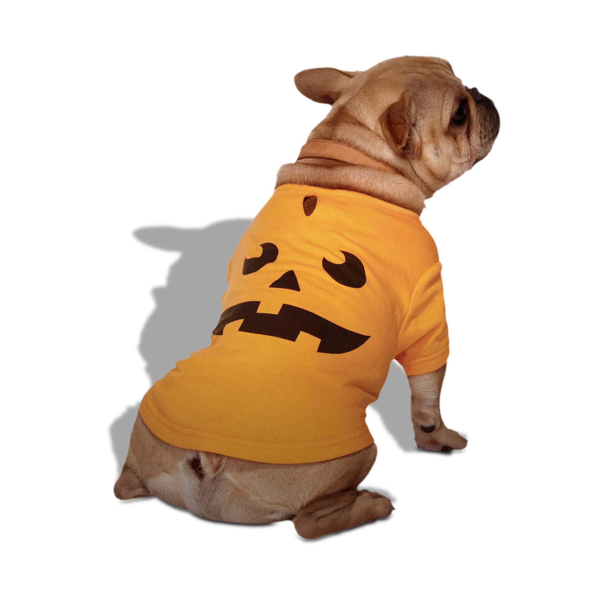 Bootique Pumpkin T-Shirt for Dogs & Cats, Medium