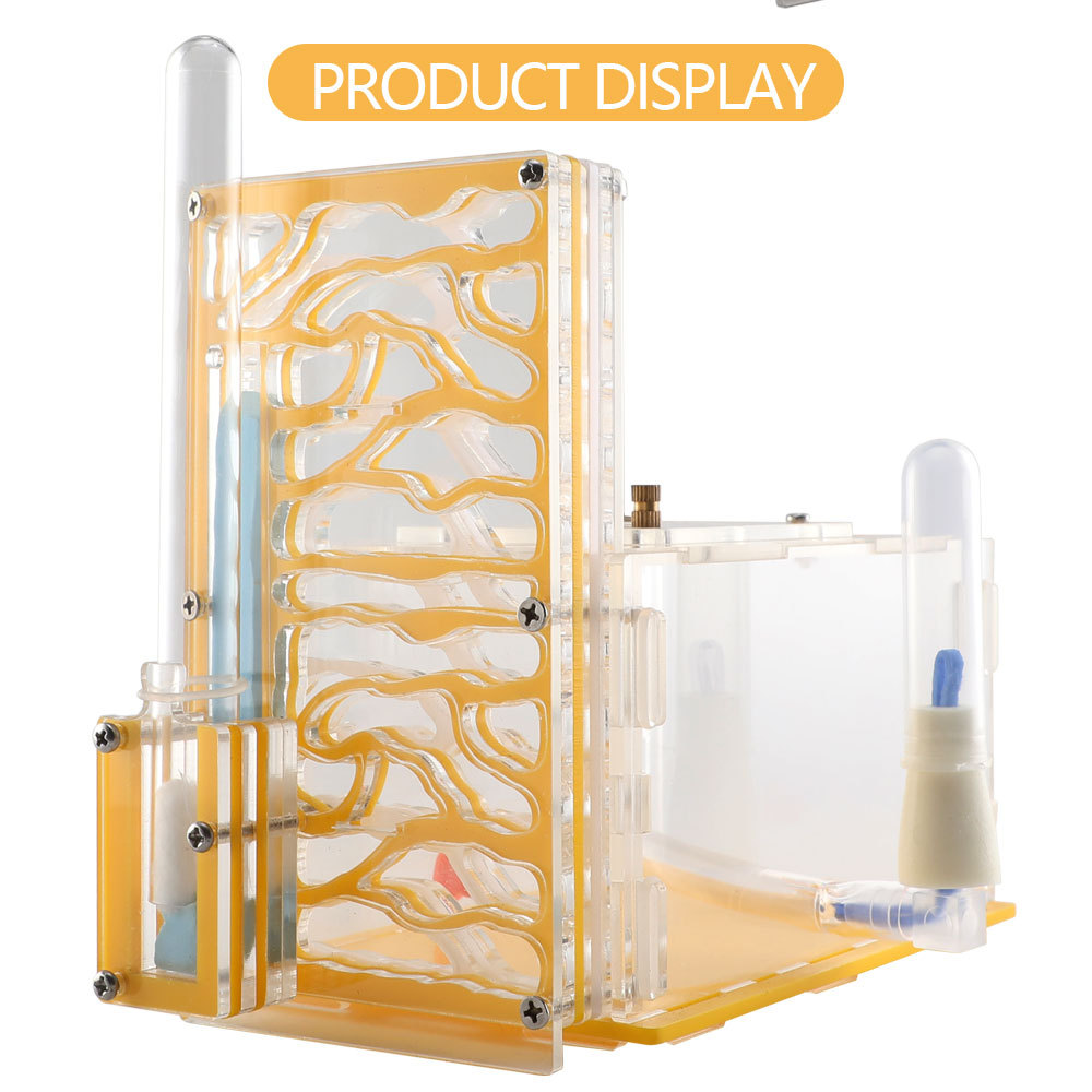 DIY large acrylic ant farm with feeding area large ant house ant nest villa anthills workshop