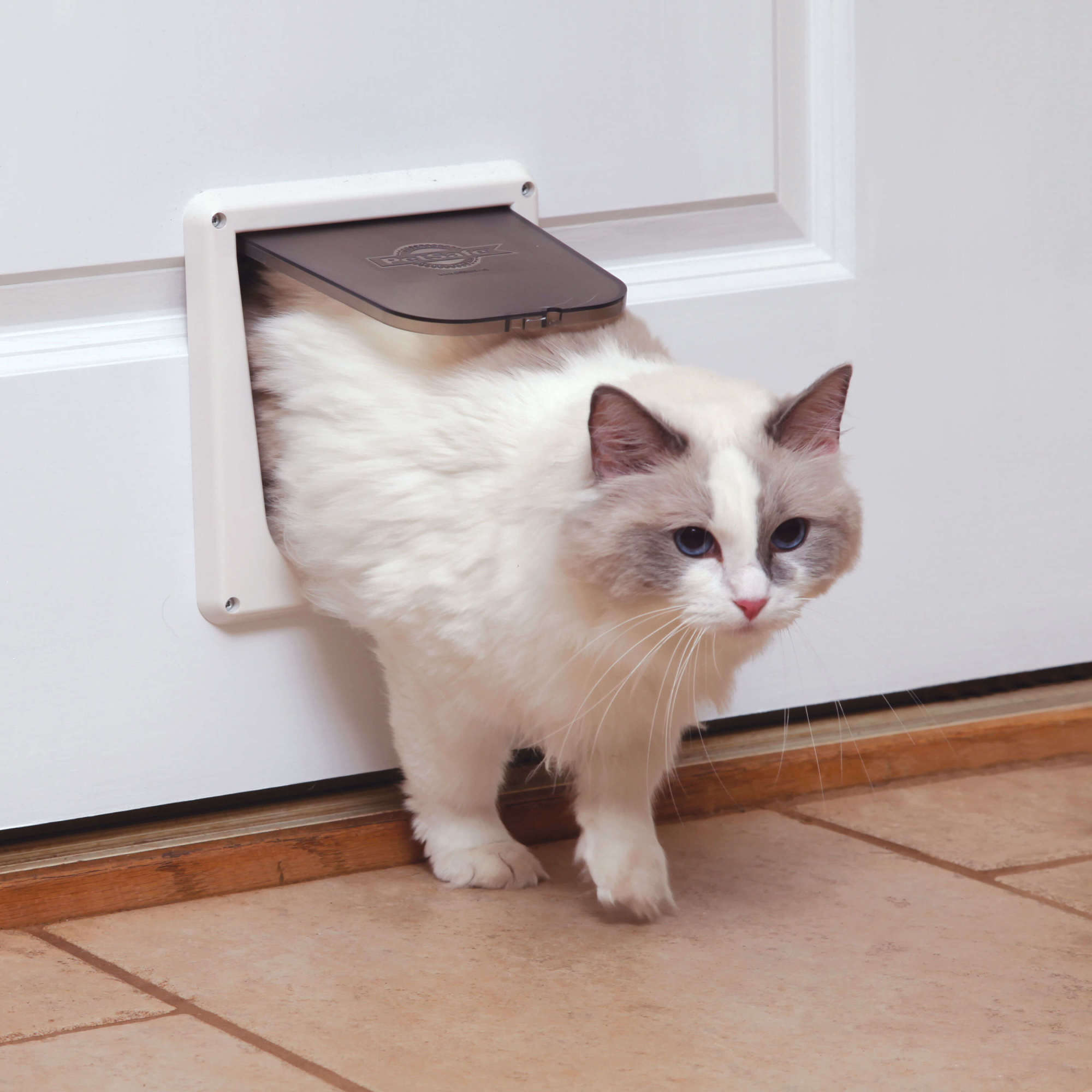 PetSafe Deluxe Cat Flap