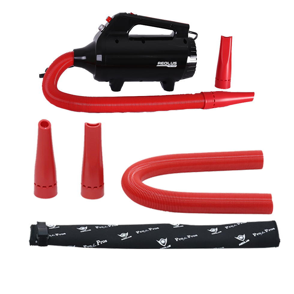Aeolus pet grooming equipment that dog dryer multi- function Brushless Pet Dryer of dog grooming hair dryer