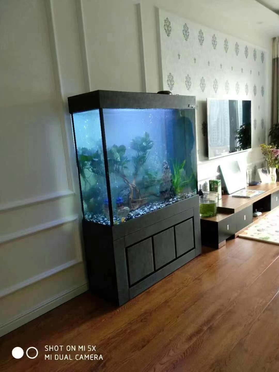 Koi Fish Landscape Aquariums & Accessories Fish Tank Fish Tank House Ultra Clear Glass Office 12mm for Aquarium 500L 148x150