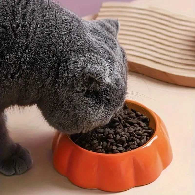 Fruit Design Pet Cat Bowl Ceramic Cat Food and Water Feeder Anti Turnover Cat Feeder Basin Watermelon Strawberry Pumpkin OrangeXJ241125