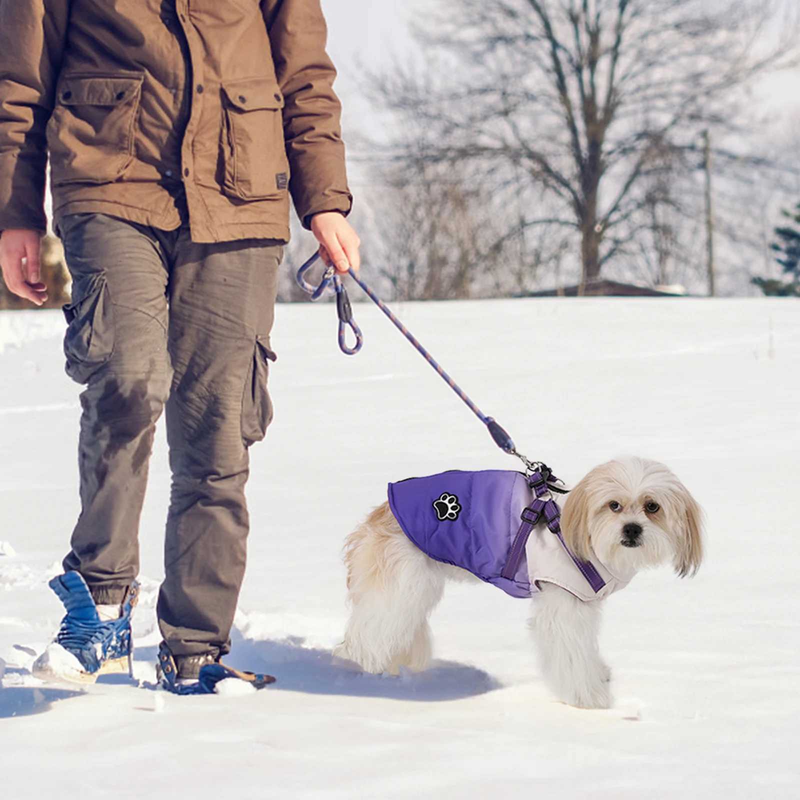 Warm Chihuahua Dog Cat Clothes Winter Small Dogs Puppy Coat Thick Cotton Pet Jacket With Zipper Outfits Clothes With HarnessXJ241125