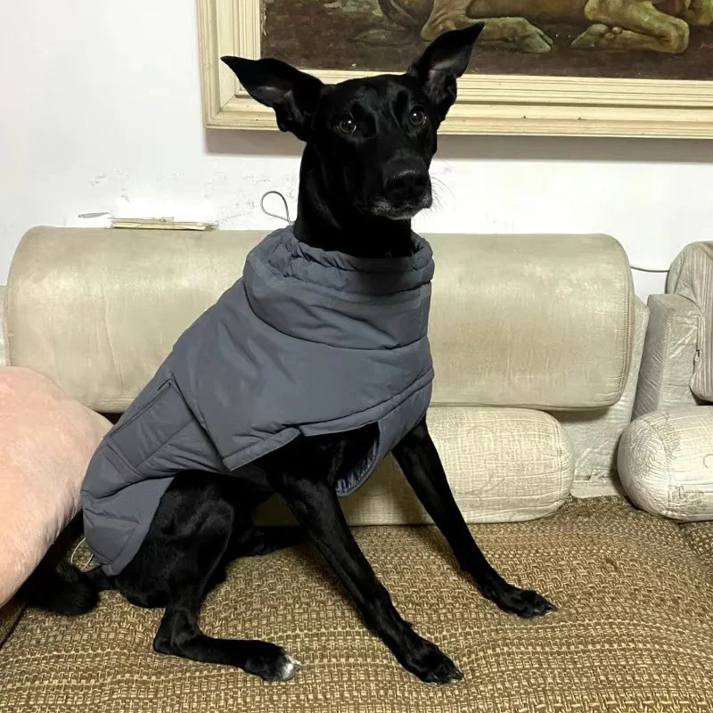 Windbreak Pet Clothes Winter Warm Thicken Puppy Dog Down Jacket for Small Medium Dogs Whippet Greyhound Coats mascotas Clothing 241125