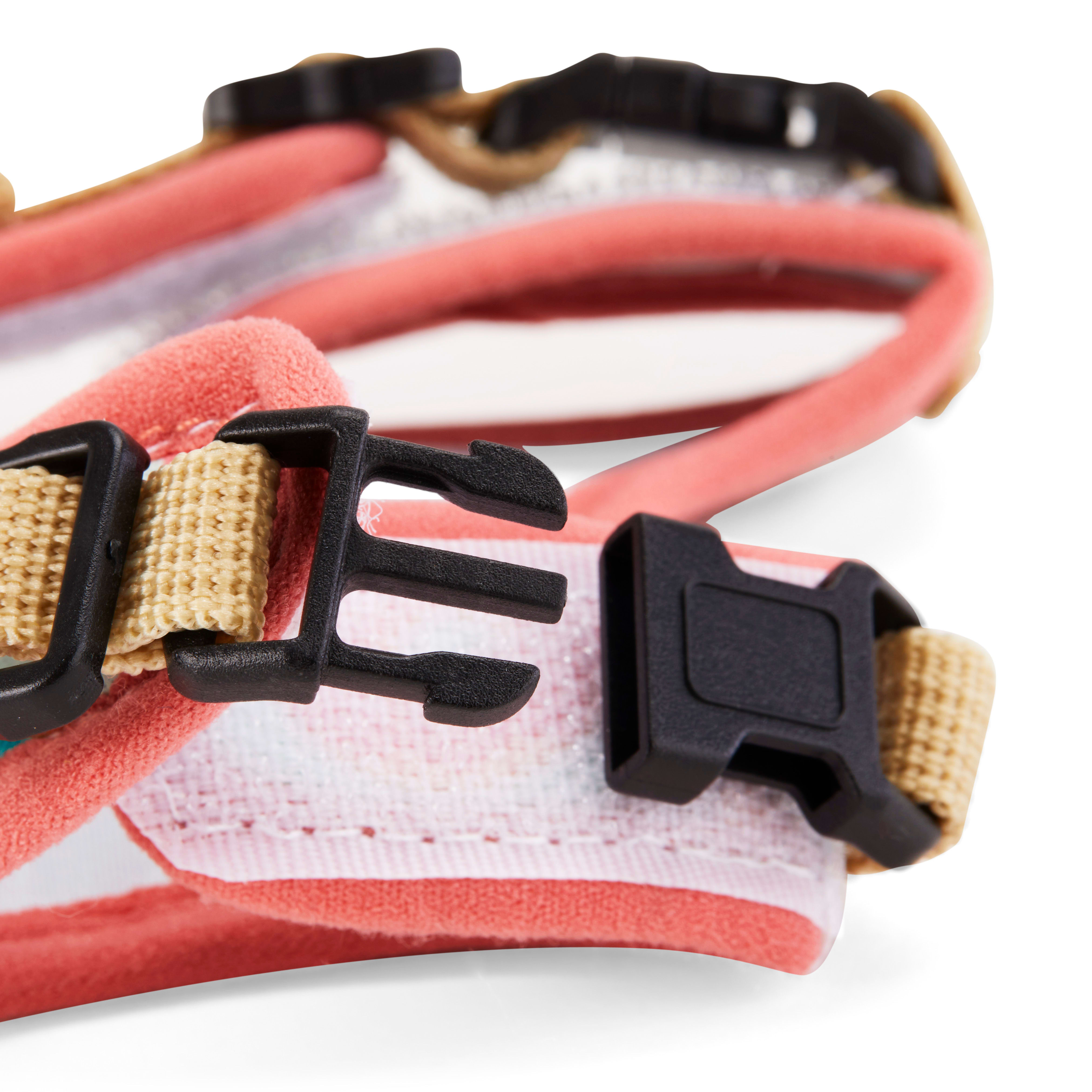 EveryYay Wear With Flair Sweet-Print Ferret Harness and Leash, Small