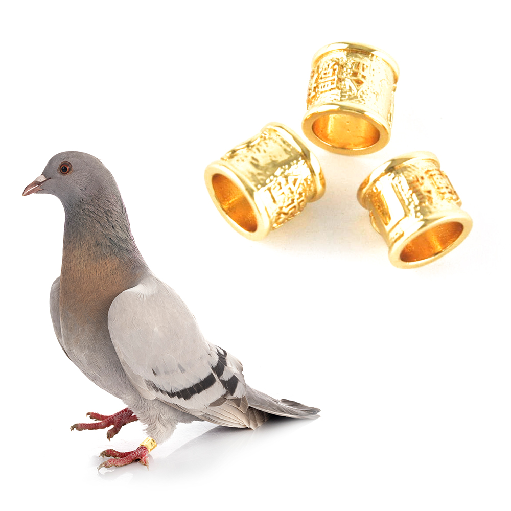 Clip Close Gold Other Animal Bird Foot Bands Carrier Pigeon Ring Open Copper Bird Ring
