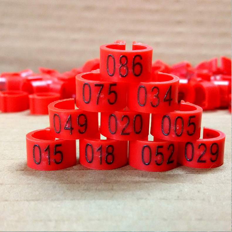 Wordless Bayonet Identification Ring Pigeon Foot Ring 10 Colors Optional Carrier Pigeon Supplies Pigeon Tools