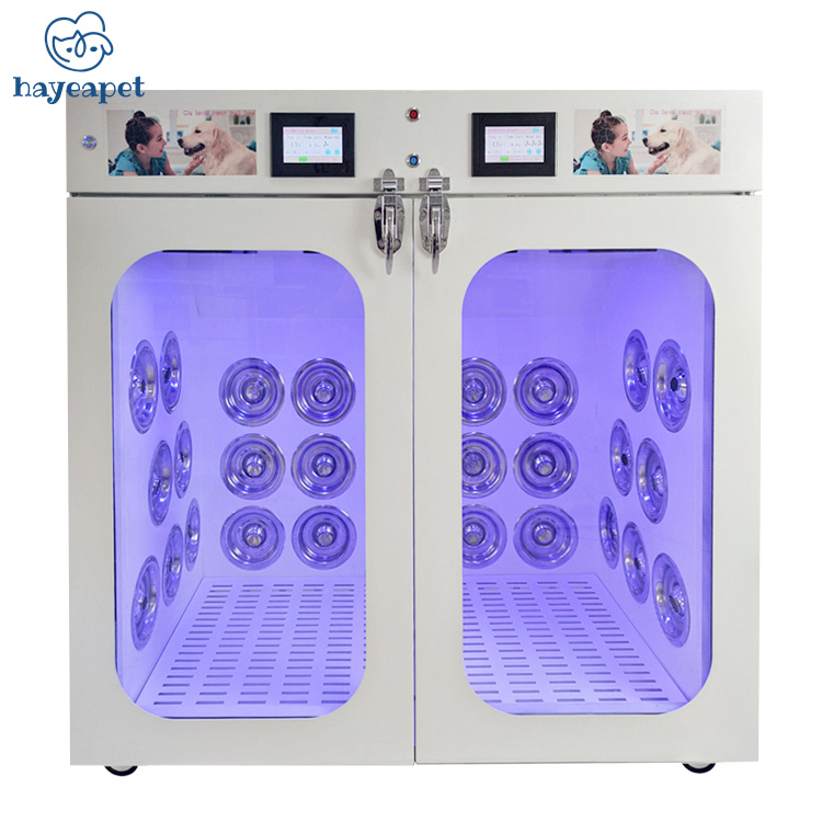 Manufacture Medical PLHG-A03 Hot Sale High Quality Automatic Pet Drying box Room