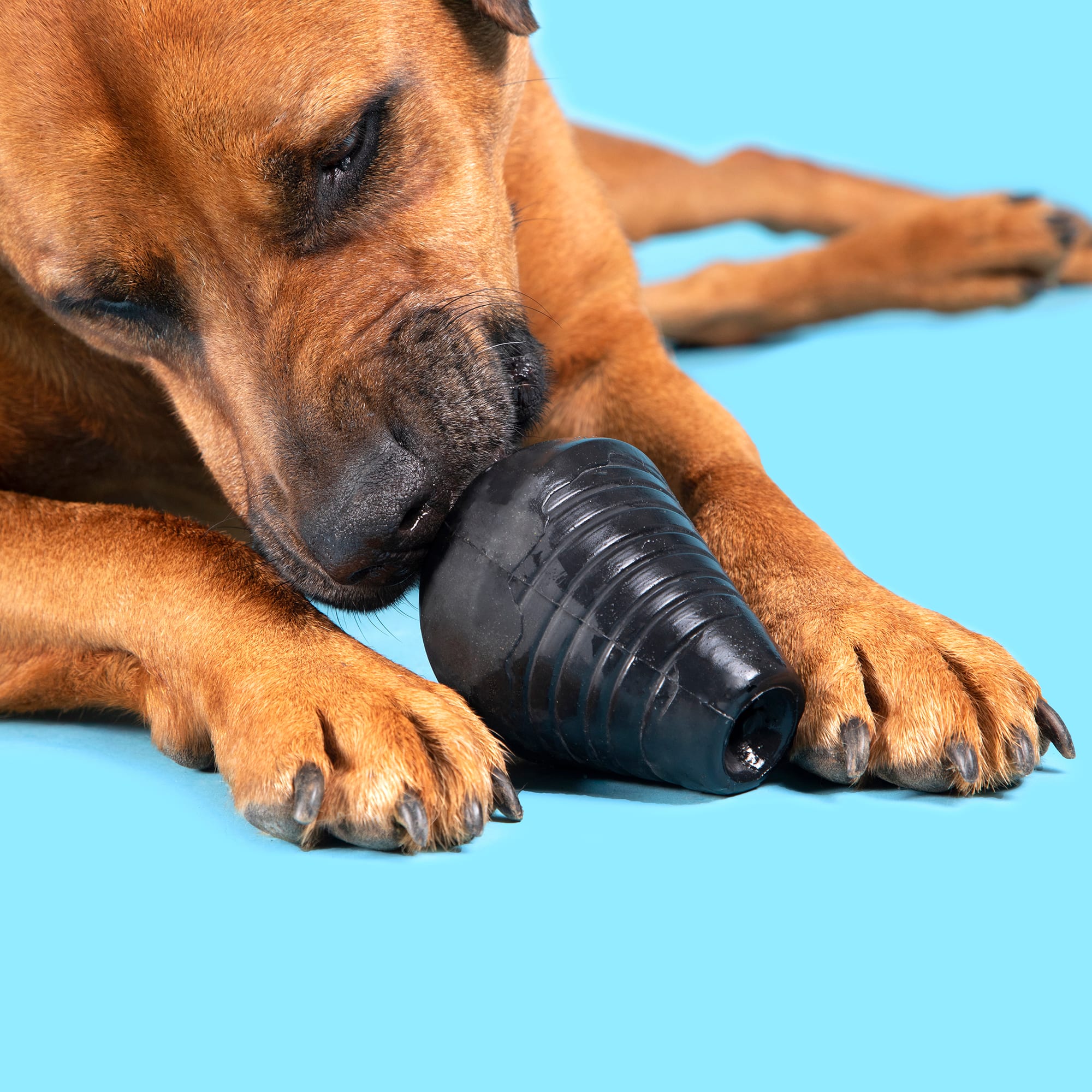 BARK Super Chewer Summit Dog Toy, Medium