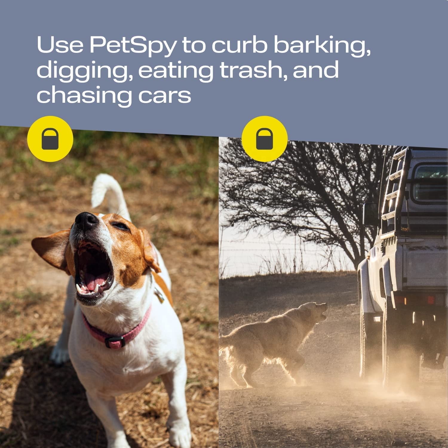 Outdoor 3in1 Dog Barking Control Long Range Ultrasonic Anti-Barking Device Ultrasonic Dog Repeller with Flashlight LED Light