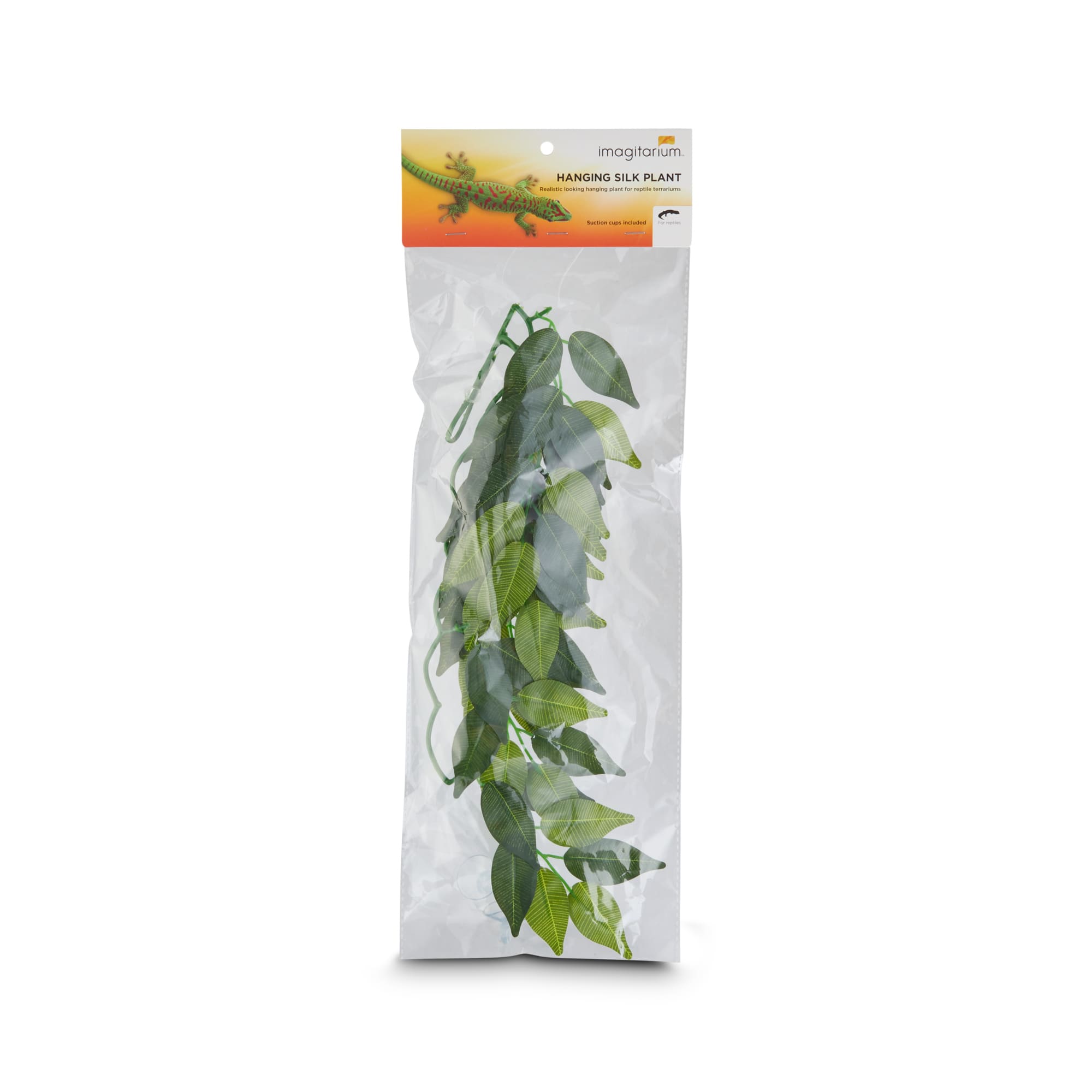 Imagitarium Hanging Silk Plant, Medium